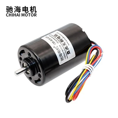Dahili Sürücülü Fırçasız Daimi Mıknatıslı DC Motor